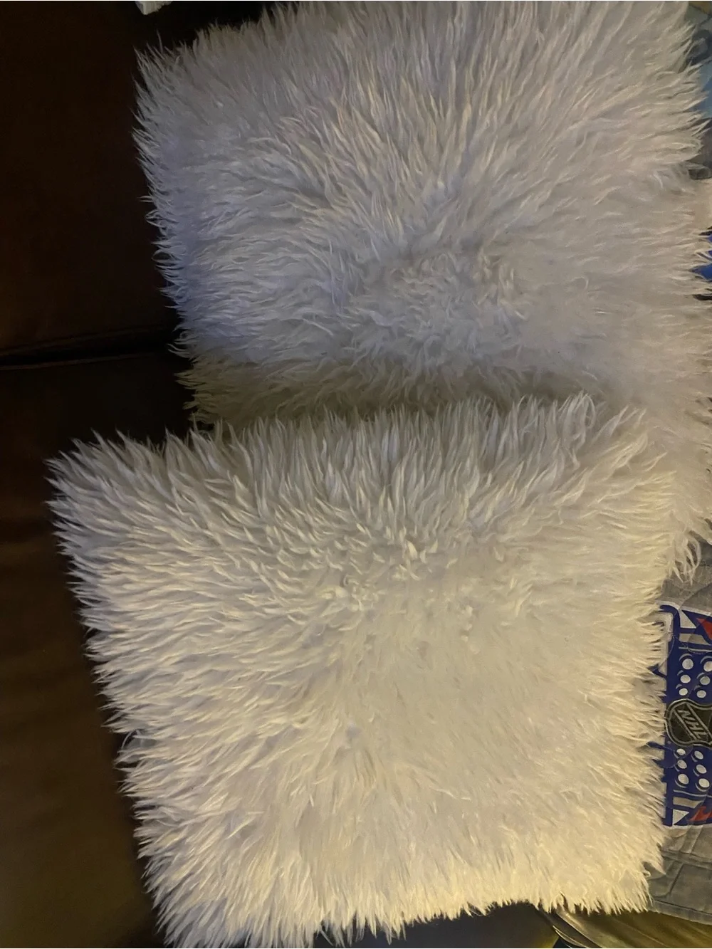Plush Faux Fur Accent Pillow - White